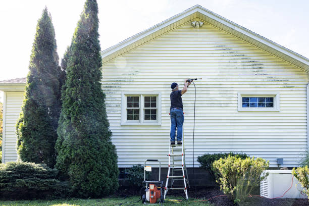Best Fence Pressure Washing  in Bowman, ND