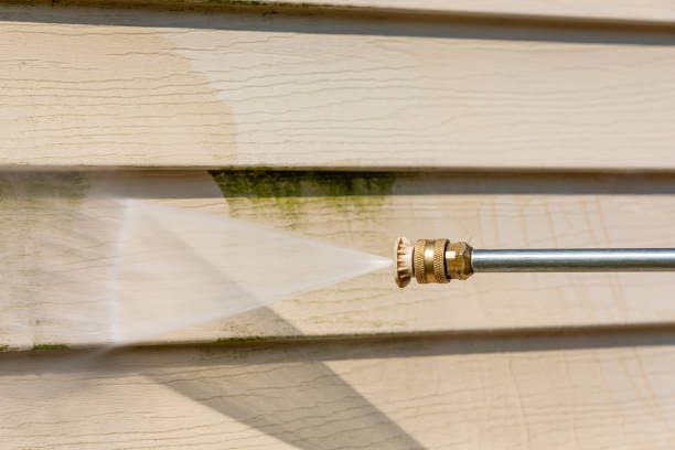 Best House Pressure Washing  in Bowman, ND